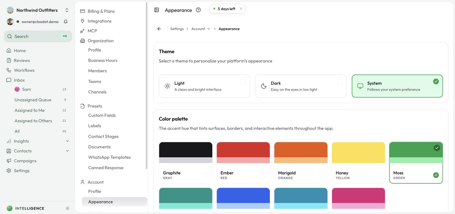 Appearance settings showing theme options and accent color palette