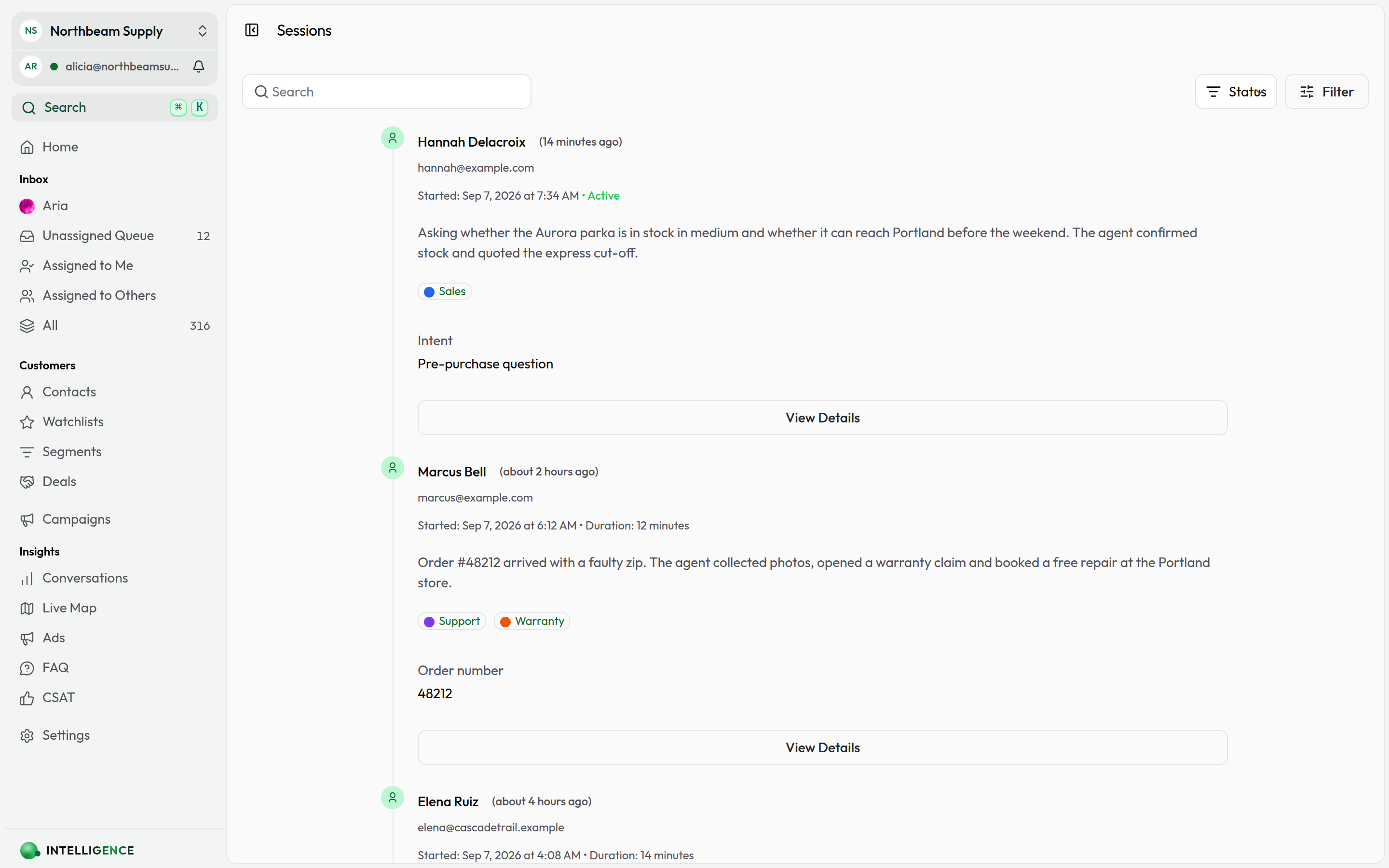 The Sessions timeline showing each interaction with its summary, labels, custom fields, and status